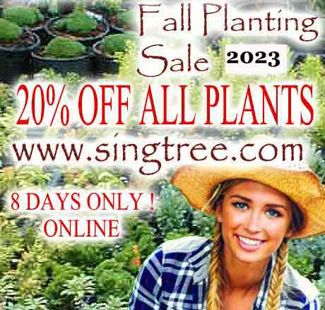 Fall Sale September 2023