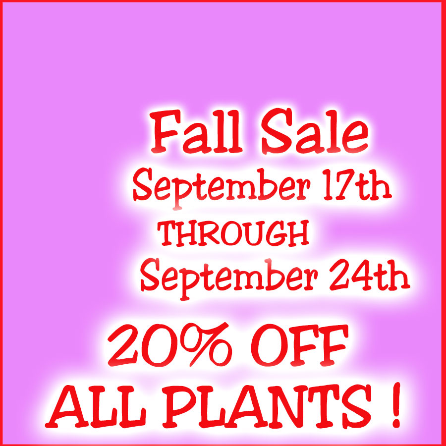 FALL SALE 2023