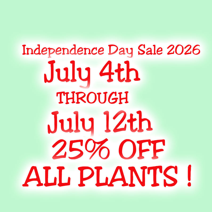 4th of July Sale 2026