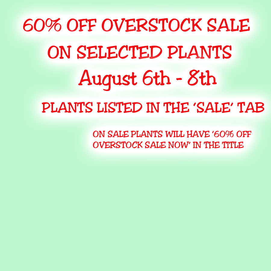 Overstock Sale August 6-8th 2026