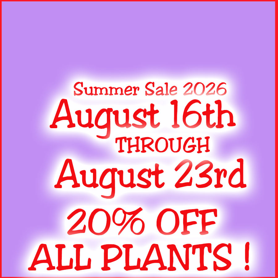 Summer Sale 2026
