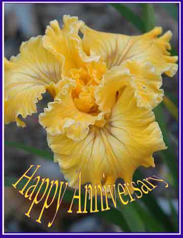 HappyAnniversary22.jpg