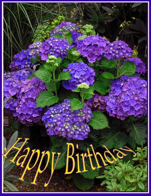HappyBirthday22.jpg