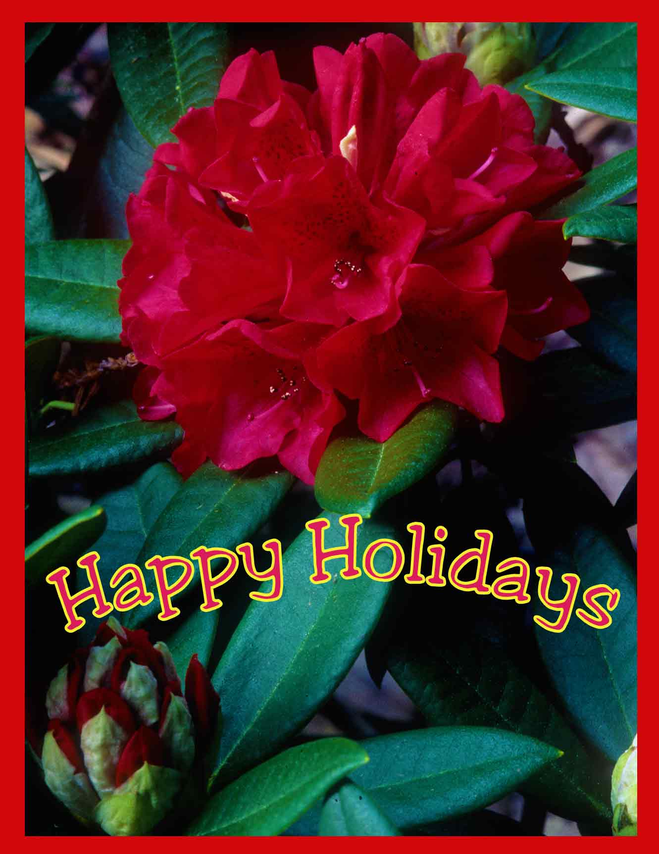 HappyHollidays.jpg