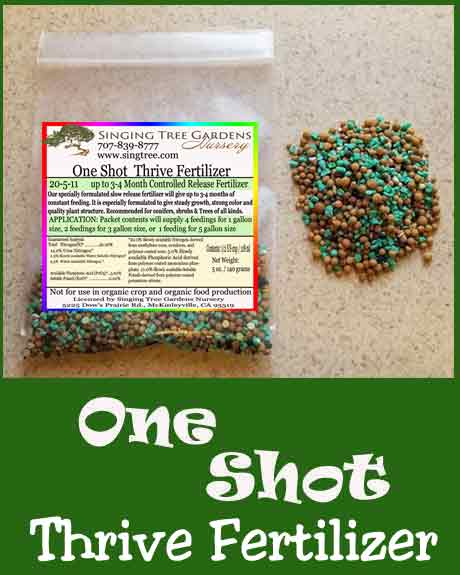 oneshot plant seed One Shot Thrive 20-5-11 Fertilizer – Singing Tree Gardens Nursery
