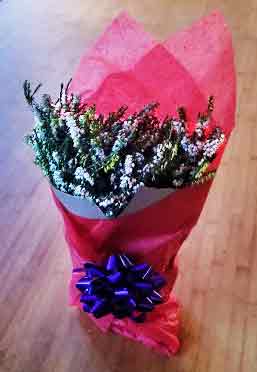 Gift wrap