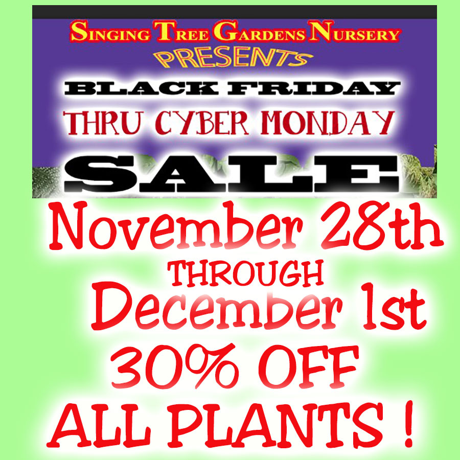 Black Friday Cyber Monday Sale 2025