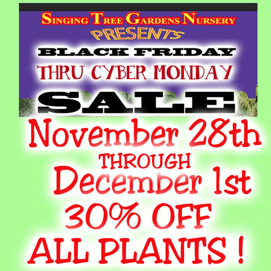 Black Friday Cyber Monday Sale 2025