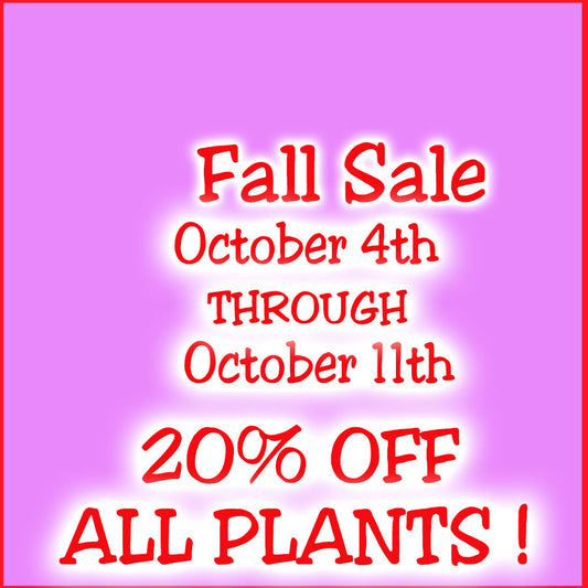 FALL SALE 2026