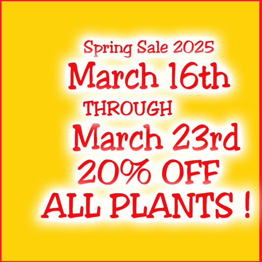 CELEBRATE SPRING SALE 2025