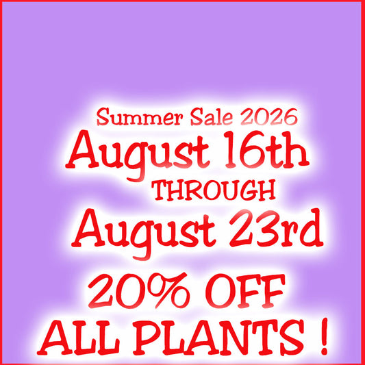 Summer Sale 2026