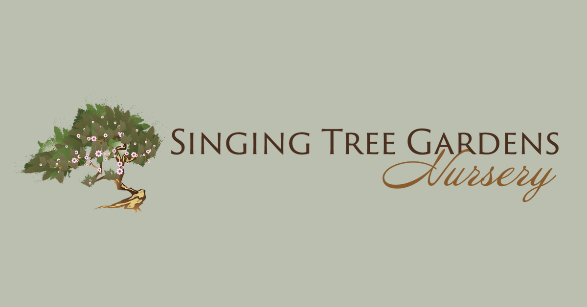 Singing Tree Gardens Nursery | Local Plant Nursery | Rare Plants