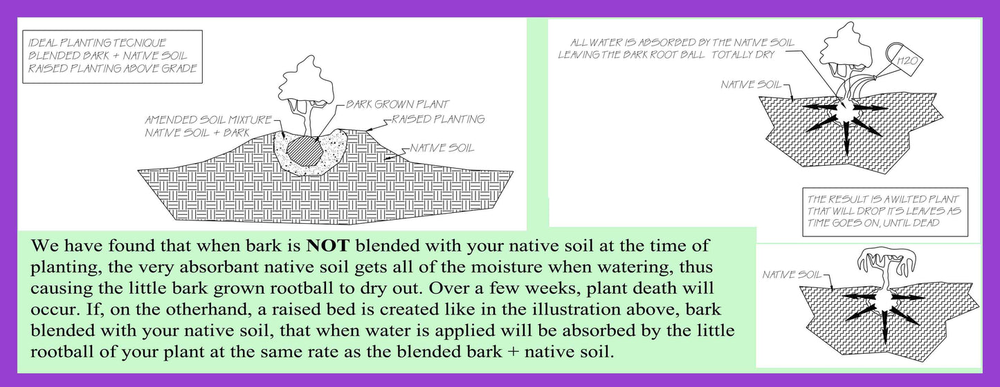 Magical Redwood Bark Soil Conditioner