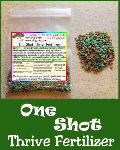 One Shot Thrive 20-5-11 Fertilizer