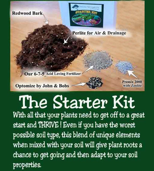 The Starter Kit